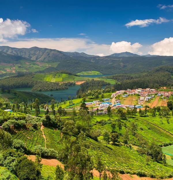 Ooty